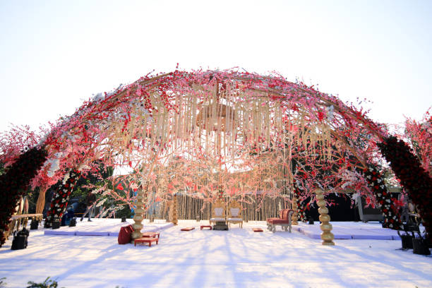 Hand holding a wedding photo over a collage of romantic portraits, capturing memories from a beautifully decorated ceremony.